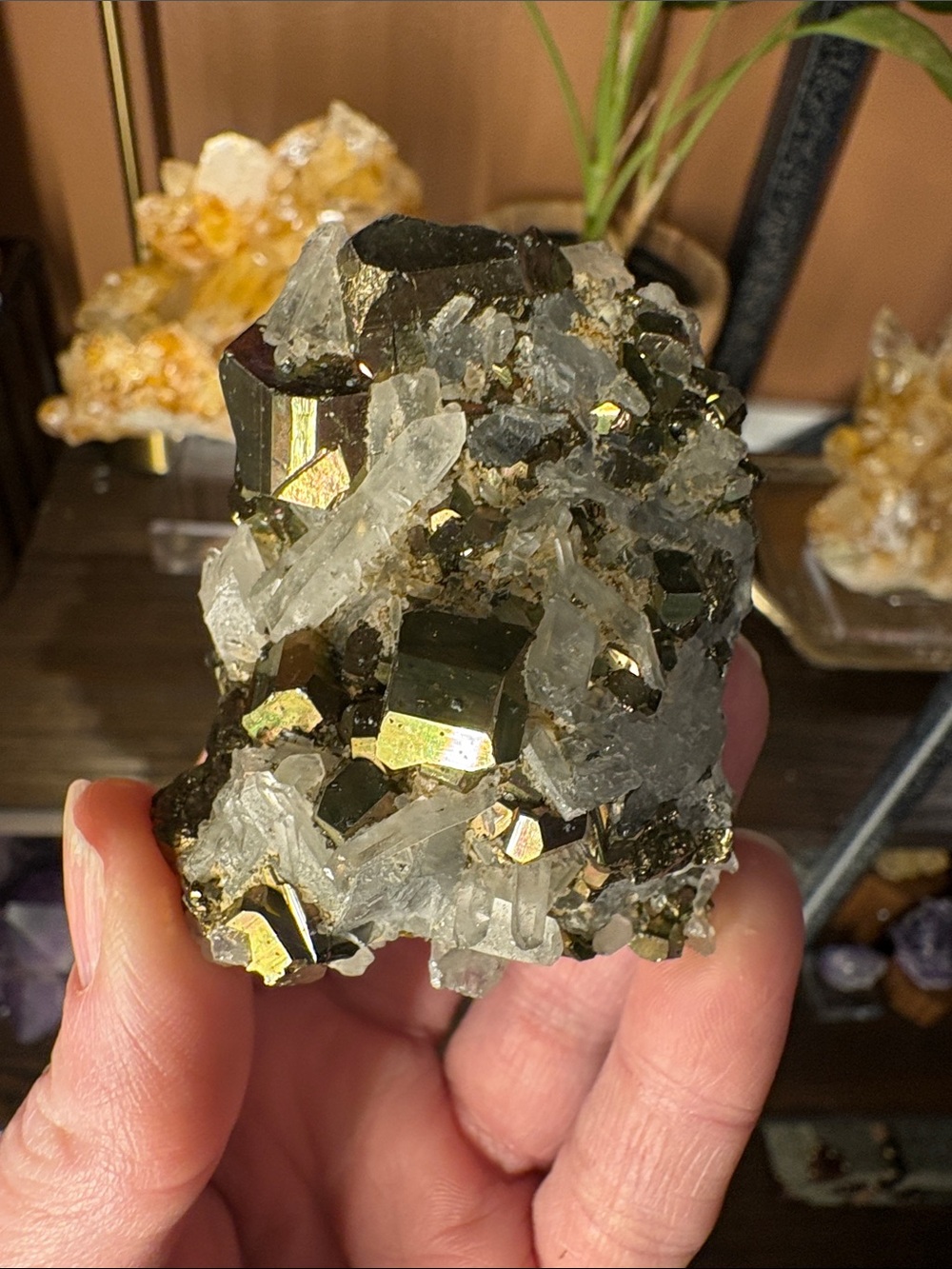 Pyrite and Quartz